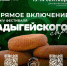 Онлайн-показ Фестиваля сыра в Адыгее пройдет в Краснодаре - KrasnodarMedia