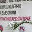 Ситуационный мониторинговый центр начал работу перед выборами в Краснодаре - Газета Краснодарские известия