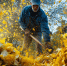 Почва «ест» зимой: как бесплатно прокачать грядки к весне - Кубанские Новости