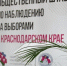Более 3,5 тысячи сообщений поступило от наблюдателей за выборами на Кубани - Газета Краснодарские известия