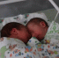Четыре двойни родились за сутки в Краснодарском крае - Кубанские Новости