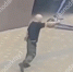 В полицию Краснодара поступило сообщение о лысом мужчине с пистолетом - Югополис