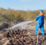 Лесной пожар в районе Должанской ликвидирован - Новая Газета Кубани