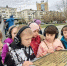 Фото предоставлено пресс-службой администрации Новороссийска - НИА-Кубань