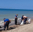 Работы по сбору мазута со дна Черного моря завершены - Новая Газета Кубани