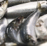 На 28% вырос импорт рыбы и морепродуктов на Кубани - Газета Краснодарские известия