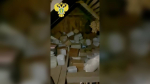 Фото: полиция Ленобласти