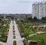 Осень в Краснодаре - 24Krasnodar.Ru