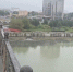 Река Кубань задыхается - 24Krasnodar.Ru