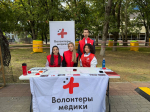Волонтеры-медики КубГМУ на фестивале «45-я параллель»