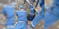 11-летний школьник упал в неогороженную яму в Апшеронске и провел там всю ночь - Кубанские Новости