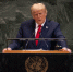 Несмотря на призыв Трампа, десятки палестинцев погибли в Газе - KrasnodarMedia