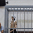 Одна из фигуранток по делу о смертельном отравлении чачей уже была судима за сбыт суррогата - Газета Кубань Сегодня