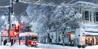 Зима в Краснодаре - 24Krasnodar.Ru