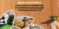 Вениамин Кондратьев поздравил работников сельского хозяйства и перерабатывающей промышленности - Кубанские Новости