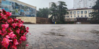 В Сочи снова прогнозируют ливни - Югополис