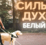 RT показали фильм о слепых бойцах СВО в Москве - Газета Краснодарские известия