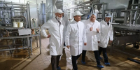 Производство сыров расширяют на заводе в Староминском районе - Кубанские Новости