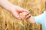 Female hand holding arm of adoptive child against yellow wheat background