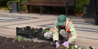 Новый сквер с Вечным огнём откроют в Краснодаре к 9 декабря - KrasnodarMedia