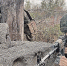 Династия защитников страны: "Скар" и его братья - KrasnodarMedia