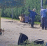 ТОП-5 новых локаций краснодарского парка Галицкого, которые изменят ваше сознание - KrasnodarMedia