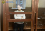 Краснодарскую пенсионерку, столкнувшую девочку на рельсы в московском метро, арестовали
