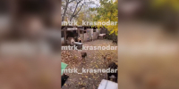 Фото: телеканал «Краснодар» - ТК Краснодар
