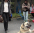 Фото: ГТРК Алания - НИА-Кубань