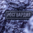 Росгвардейцы обеспечили правопорядок во время международных товарищеских матчей в Сириусе - 24Krasnodar.Ru