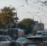 Названы самые популярные люксовые автомобили с пробегом в Краснодарском крае - Кубанские Новости