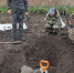 Останки двух красноармейцев обнаружили поисковики в Кущевском районе - Кубанские Новости