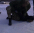 Житель Комсомольска-на-Амуре получил 17 лет колонии за госизмену - Газета Краснодарские известия