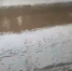 Фото: Amur Mash - ТК Краснодар