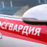 В Лабинске сотрудники Росгвардии задержали находящегося в розыске мужчину - 24Krasnodar.Ru
