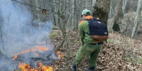 Лесной пожар в Туапсинском округе локализовали - Комсомольская Правда