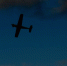 Дрон - 24Krasnodar.Ru