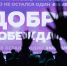Путин наградит победителя в номинации «Волонтер года» премии «Мы вместе» - Уполномоченный по правам человека