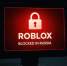 Им только на руку: мошенники атакуют отчаявшихся игроков Roblox - LiveKuban.Ru