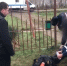 В Тимашевском районе мужчина жестоко расправился с собутыльником, попытавшись сжечь его заживо - Smi.Kuban.Info