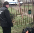Избит до полусмерти и подожжён: на Кубани хуторянина подозревают в жестоком убийстве приятеля - Югополис