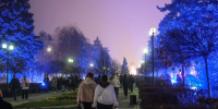 Более половины опрошенных кубанцев планируют подработку на новогодних праздниках - Кубанские Новости