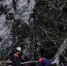 В Сочи упавшее дерево проломило крышу дома и упало рядом с детской кроватью - Газета Кубань Сегодня