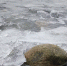 До нуля остыло Азовское море у берегов Краснодарского края - Кубанские Новости
