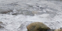 До нуля остыло Азовское море у берегов Краснодарского края - Кубанские Новости