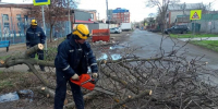 В Краснодаре спасатели ликвидируют последствия сильного ветра - Комсомольская Правда