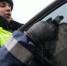 Единые штрафы за тонировку всех авто начнут действовать в России с 9 января - Газета Краснодарские известия