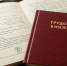 Изображение создано при помощи ИИ. - ТК Краснодар