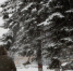 Польза или вред? Что скрывают уличные продавцы шаурмы - KrasnodarMedia