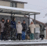 В Краснодаре за сутки выпадет пятая часть месячной нормы осадков - Кубанские Новости